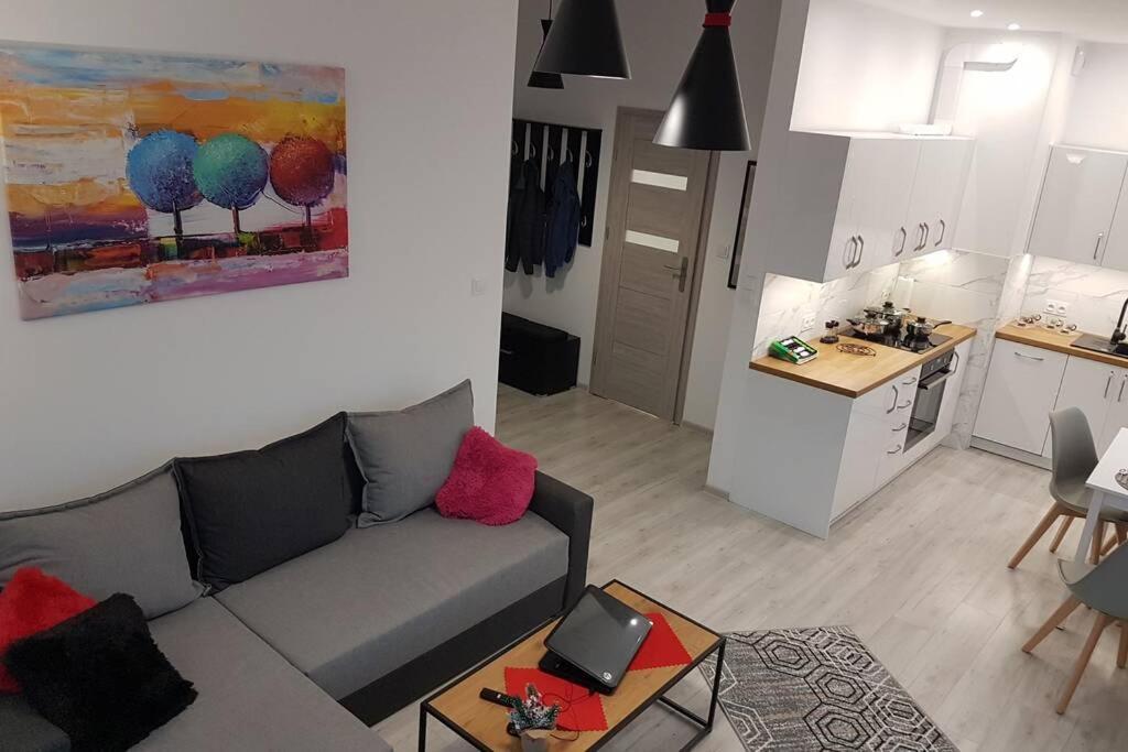 Komfortowy Nowoczesny Apartament Kustronia Z Garazem Balkonem Wanna Бельсько-Бяла Екстер'єр фото