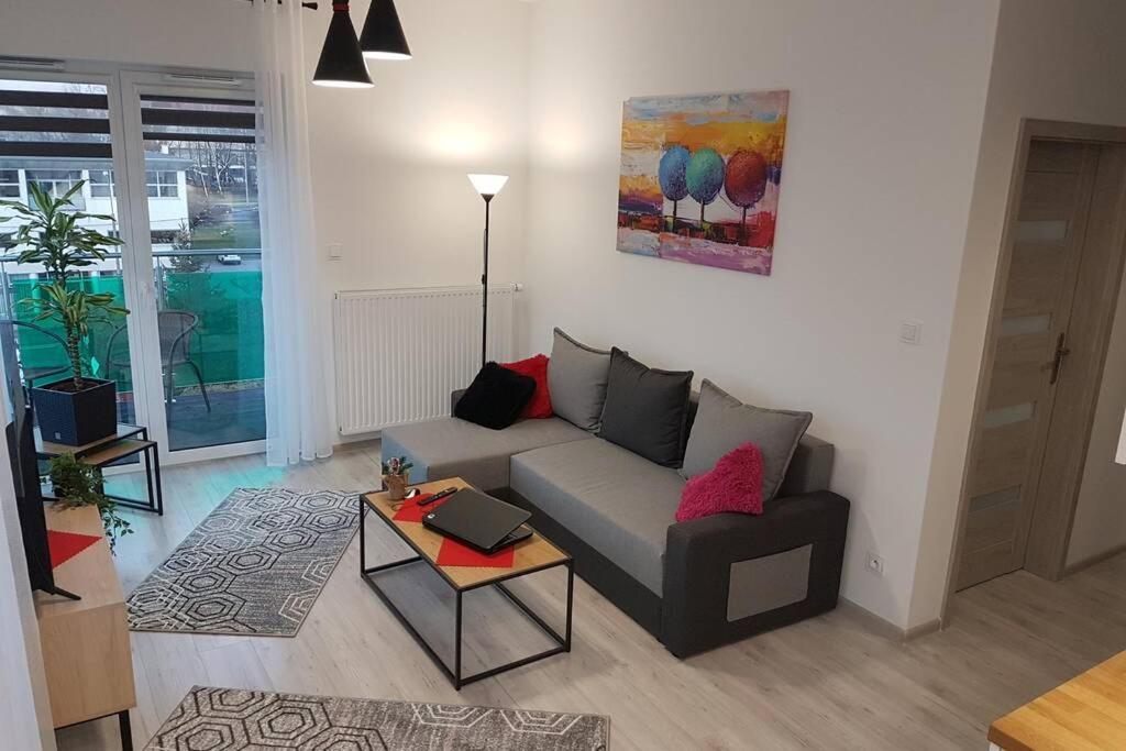 Komfortowy Nowoczesny Apartament Kustronia Z Garazem Balkonem Wanna Бельсько-Бяла Екстер'єр фото